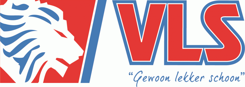 VLS Logo